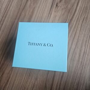 Tiffany & Co. Turquoise Gift Box